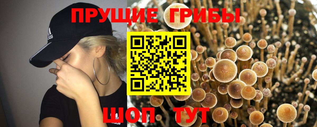 Галлюциногенные грибы Magic Shrooms Малоярославец